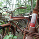 Illustration for article titled DIOCCUSA: Bikelopnik